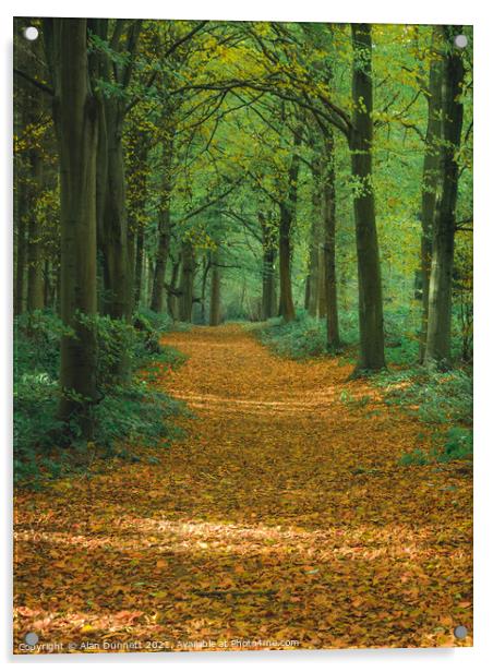 Autumn path Acrylic by Alan Dunnett