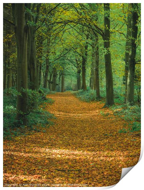 Autumn path Print by Alan Dunnett