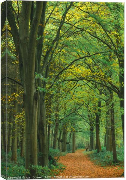 Autumn walkway Canvas Print by Alan Dunnett