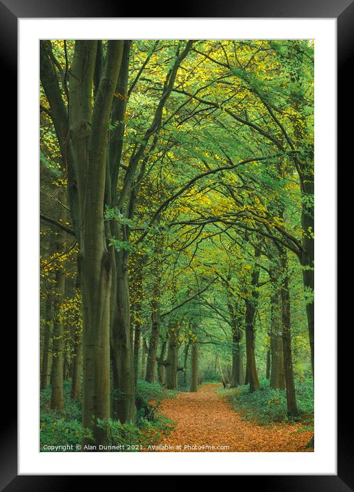Autumn walkway Framed Mounted Print by Alan Dunnett