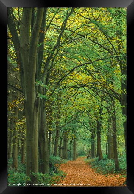 Autumn walkway Framed Print by Alan Dunnett