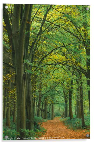 Autumn walkway Acrylic by Alan Dunnett