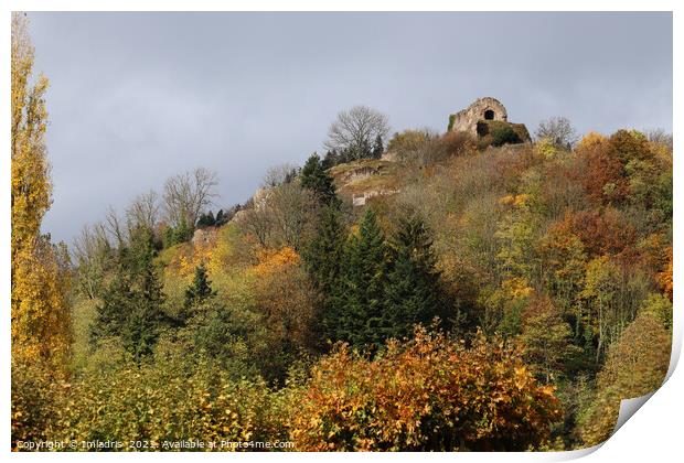 Thann in Autumn, Alsace, France Print by Imladris 