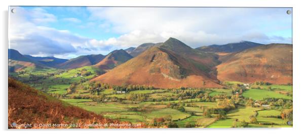 Crag Hill from Cat Bells in the Autumn Acrylic by David Morton