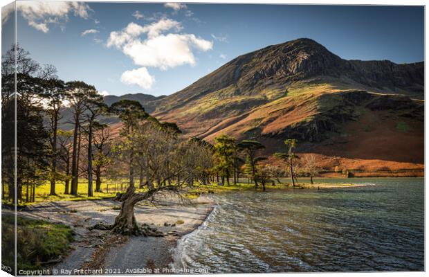 Buttermere in Autumn Canvas Print by Ray Pritchard