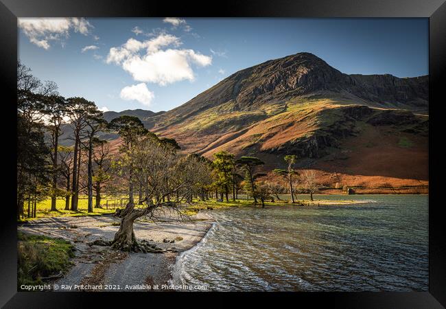 Buttermere in Autumn Framed Print by Ray Pritchard