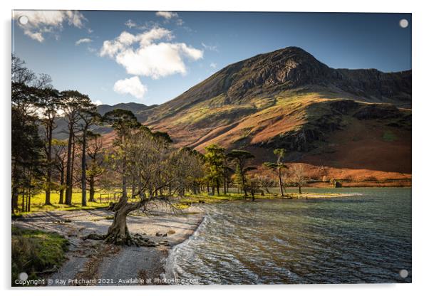 Buttermere in Autumn Acrylic by Ray Pritchard