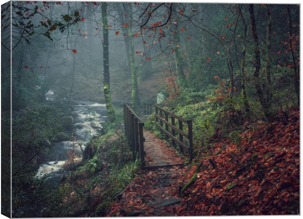 whyming brook Canvas Print by Jason Thompson