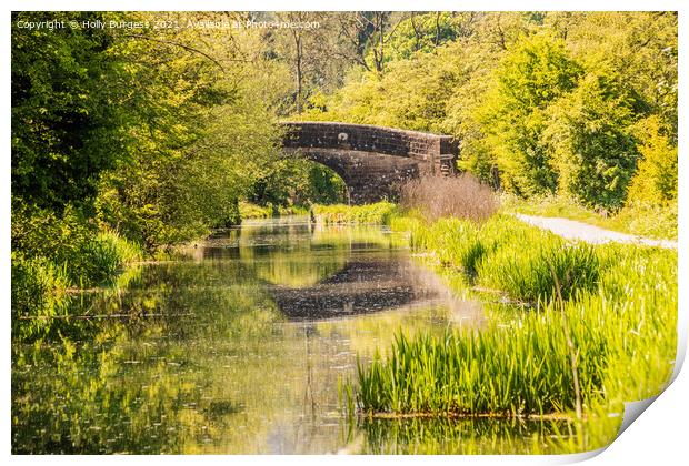 Derbyshire Canal, Erewash lovey walk down the canal with a reflections from the bridge Print by Holly Burgess