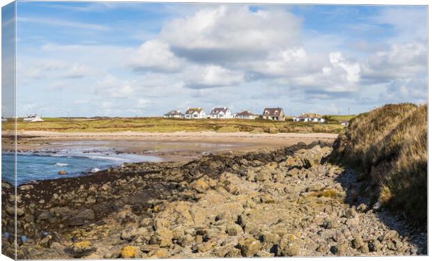 Houses look out on Porth Trecastell Canvas Print by Jason Wells