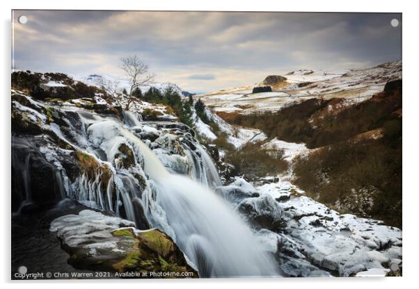 Endrick Falls Loup of Fintry Scotland Acrylic by Chris Warren