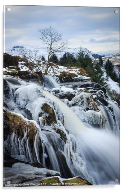 Endrick Falls Loup of Fintry Scotland Acrylic by Chris Warren