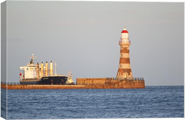 Graceful Gertrude at Roker Pier Canvas Print by Rob Cole