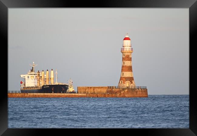 Graceful Gertrude at Roker Pier Framed Print by Rob Cole