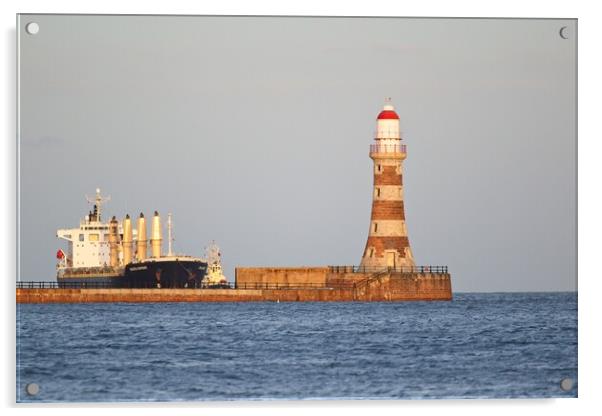 Graceful Gertrude at Roker Pier Acrylic by Rob Cole