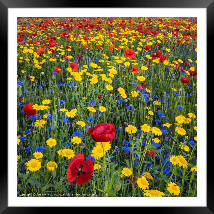 Colourful Wildflowers Framed Mounted Print by Jim Monk