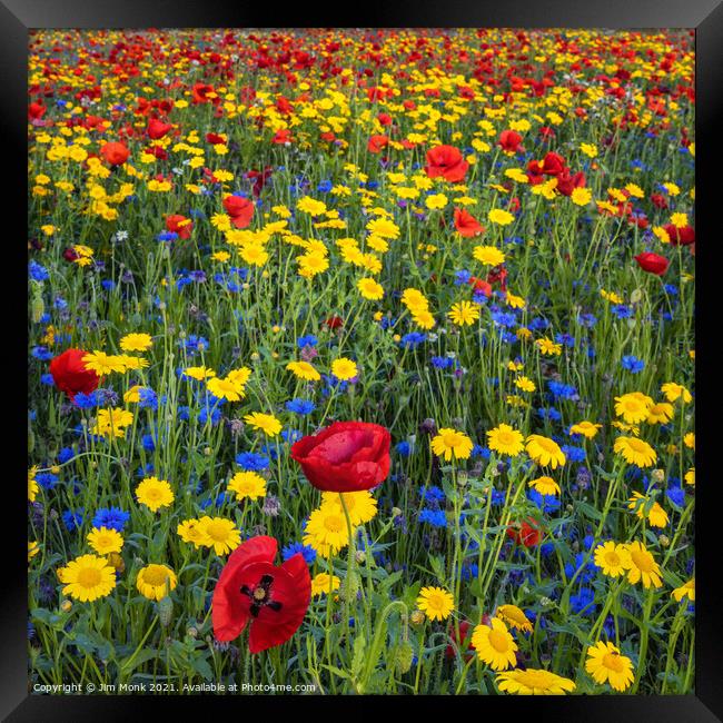 Colourful Wildflowers Framed Print by Jim Monk