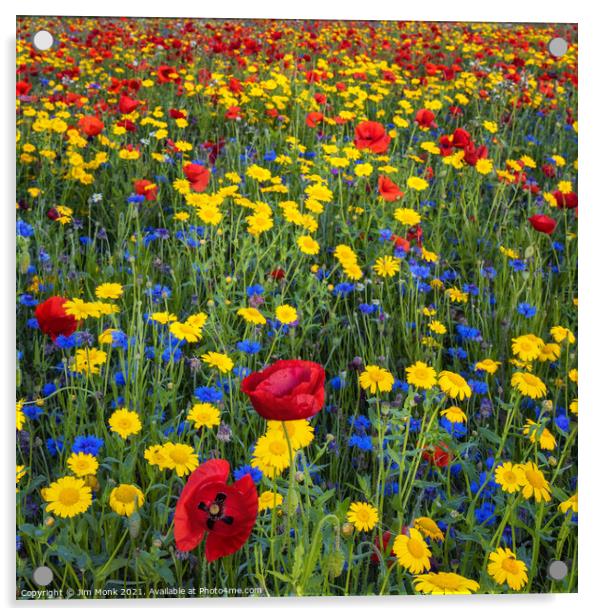 Colourful Wildflowers Acrylic by Jim Monk