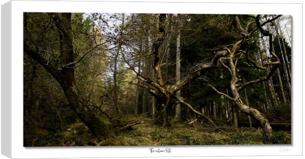 The autumn Rut Canvas Print by JC studios LRPS ARPS