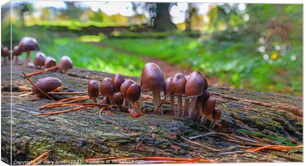Little People of Bintree Woods Canvas Print by GJS Photography Artist