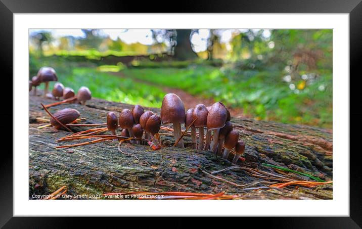 Little People of Bintree Woods Framed Mounted Print by GJS Photography Artist