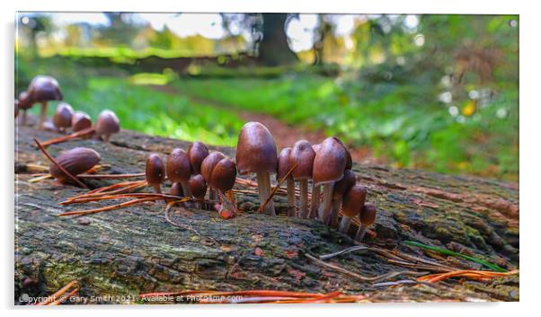 Little People of Bintree Woods Acrylic by GJS Photography Artist