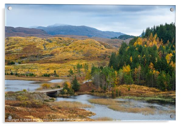 Sutherland, Scotland  Acrylic by Lrd Robert Barnes