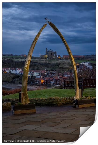 The Whitby whalebone Arch Print by Chris North