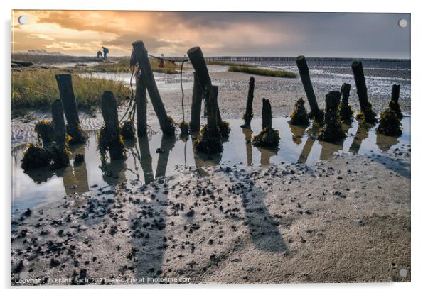 Poles on the beach on Mandoe in the wadden sea, Esbjerg Denmark Acrylic by Frank Bach