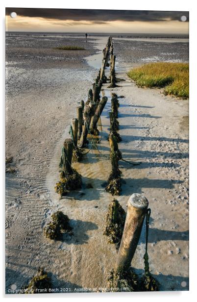 Poles on the beach on Mandoe in the wadden sea, Esbjerg Denmark Acrylic by Frank Bach