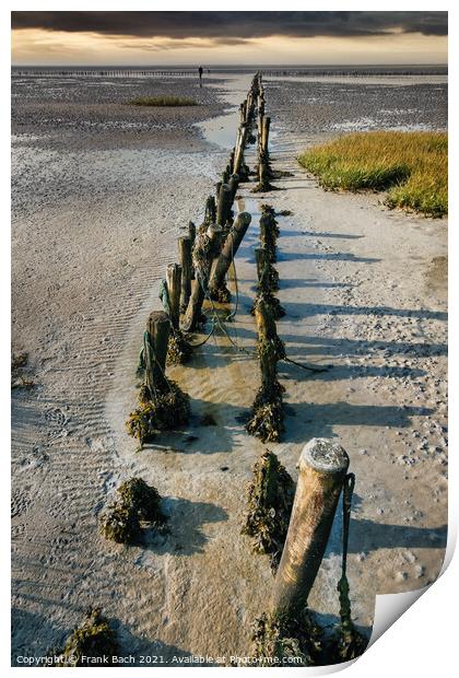 Poles on the beach on Mandoe in the wadden sea, Esbjerg Denmark Print by Frank Bach