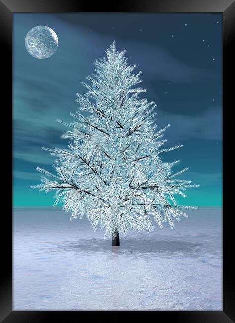 Christmas Moonlight Framed Print by Matthew Lacey