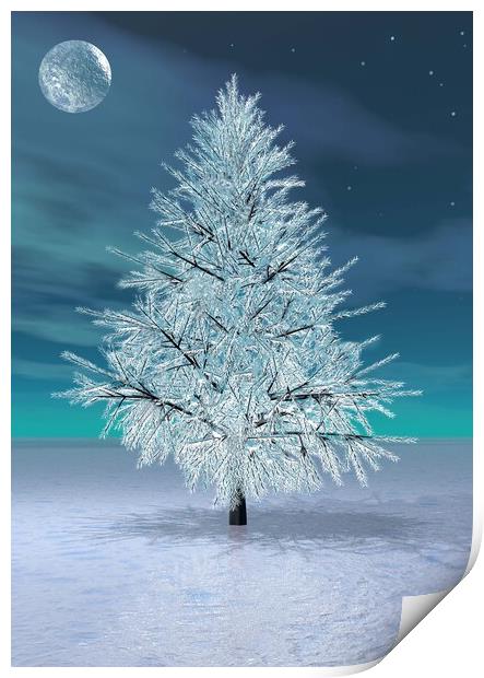 Christmas Moonlight Print by Matthew Lacey