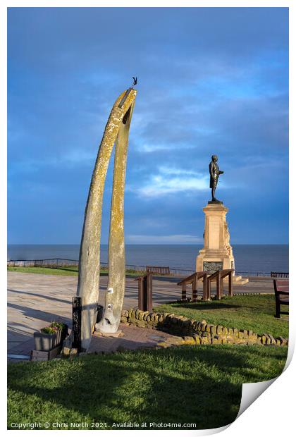 The Captain Cook monument and whalebone arch. Print by Chris North
