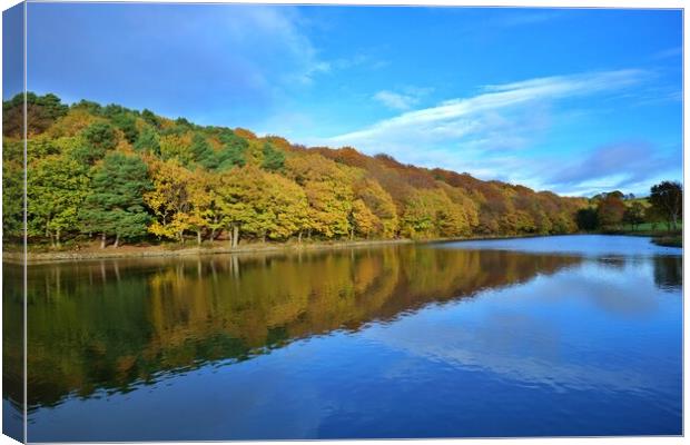 Autumn colour reflections Canvas Print by Roy Hinchliffe