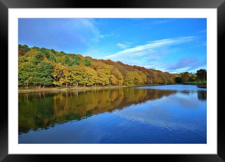 Autumn colour reflections Framed Mounted Print by Roy Hinchliffe