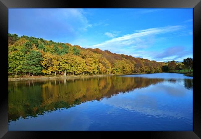 Autumn colour reflections Framed Print by Roy Hinchliffe