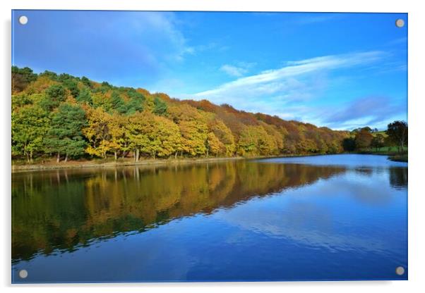 Autumn colour reflections Acrylic by Roy Hinchliffe