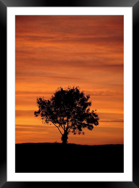 Cotsold sunrise Framed Mounted Print by Simon Johnson