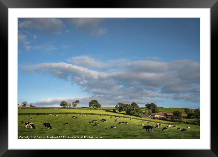 Happy Cows Framed Mounted Print by James Rowland