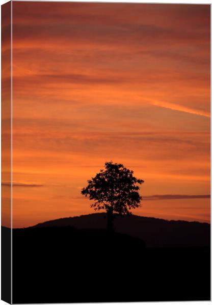 Cotswold sunset Canvas Print by Simon Johnson