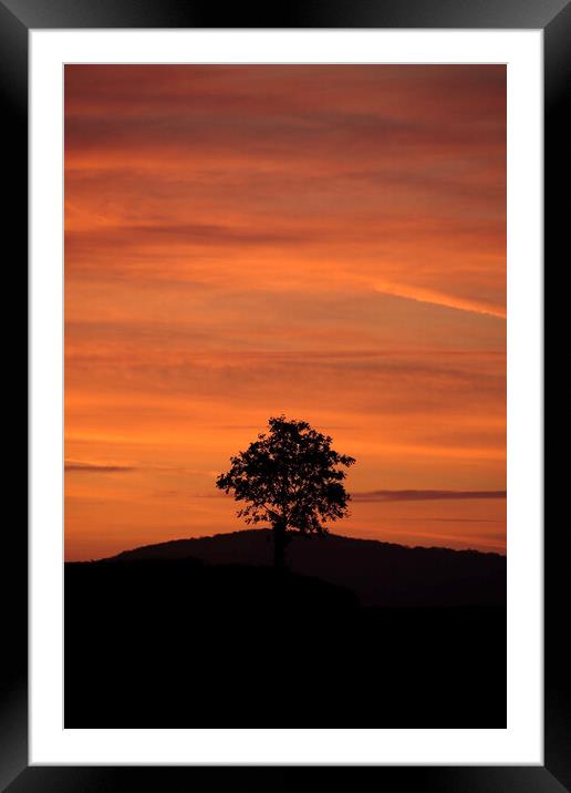 Cotswold sunset Framed Mounted Print by Simon Johnson