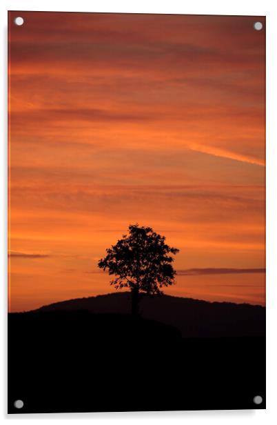 Cotswold sunset Acrylic by Simon Johnson