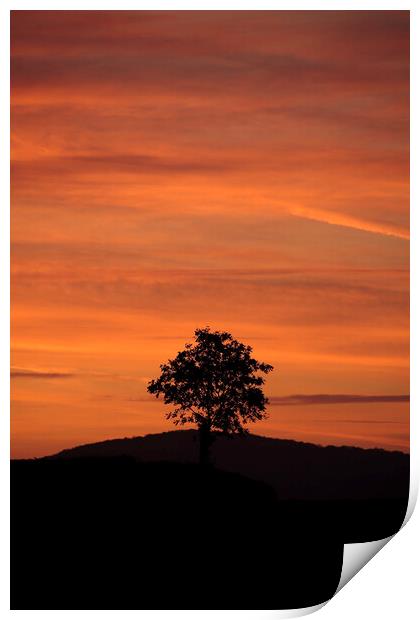Cotswold sunset Print by Simon Johnson