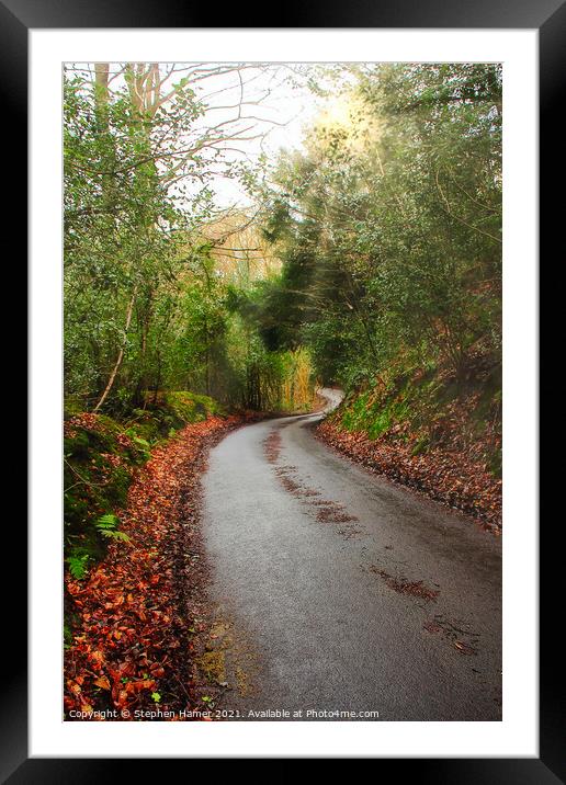 Autumn English Country Lane Framed Mounted Print by Stephen Hamer