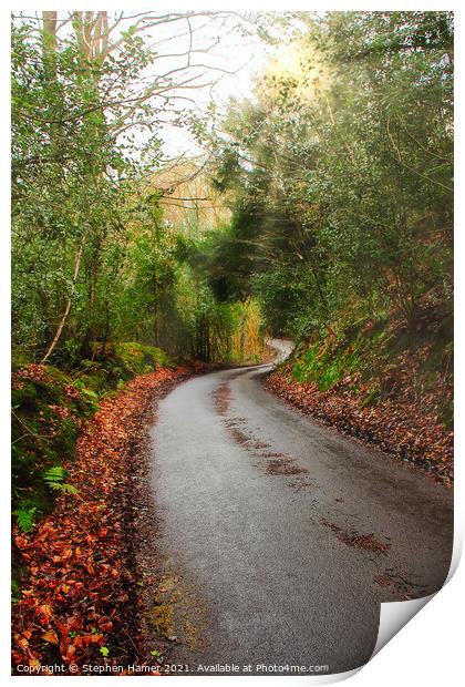 Autumn English Country Lane Print by Stephen Hamer