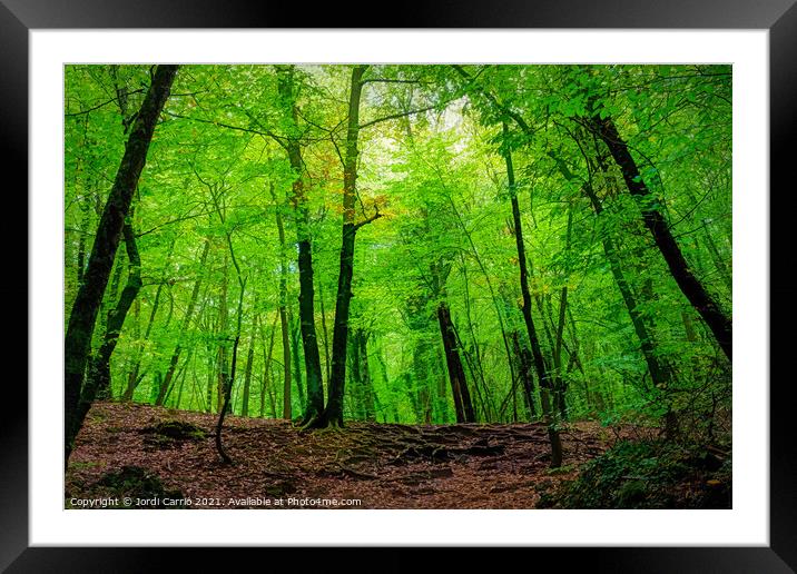 The green beech forest - C1510-3231-PIN Framed Mounted Print by Jordi Carrio