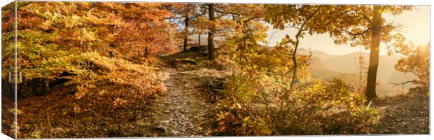 Autumn sun hining through the golden foliage. Canvas Print by Andrea Obzerova