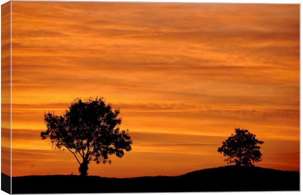 two trees and a sunset sky Canvas Print by Simon Johnson