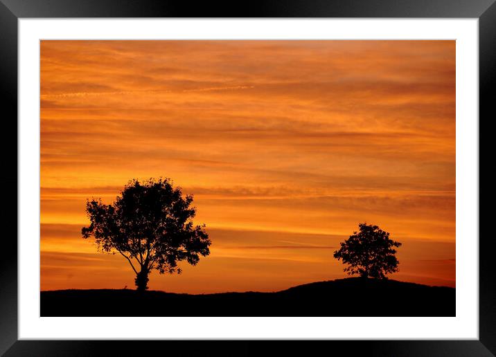two trees and a sunset sky Framed Mounted Print by Simon Johnson